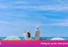 Tôi đến Dốc Lết để kiểm chứng màu nước biển liệu có như ảnh mạng