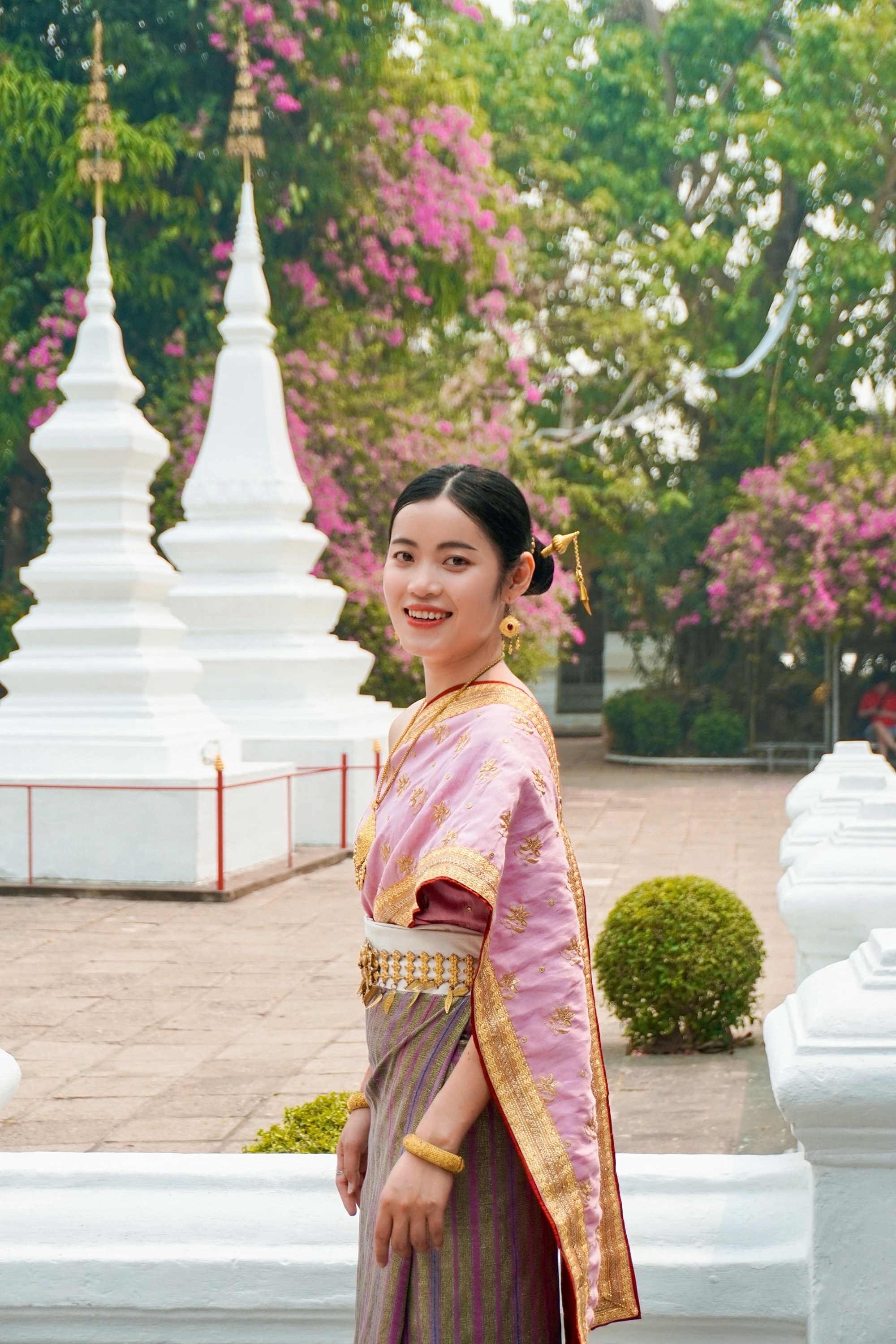Lào,  khách Việt ảnh 5