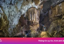 Đã mở tour khám phá hang động mới phát hiện ở Việt Nam