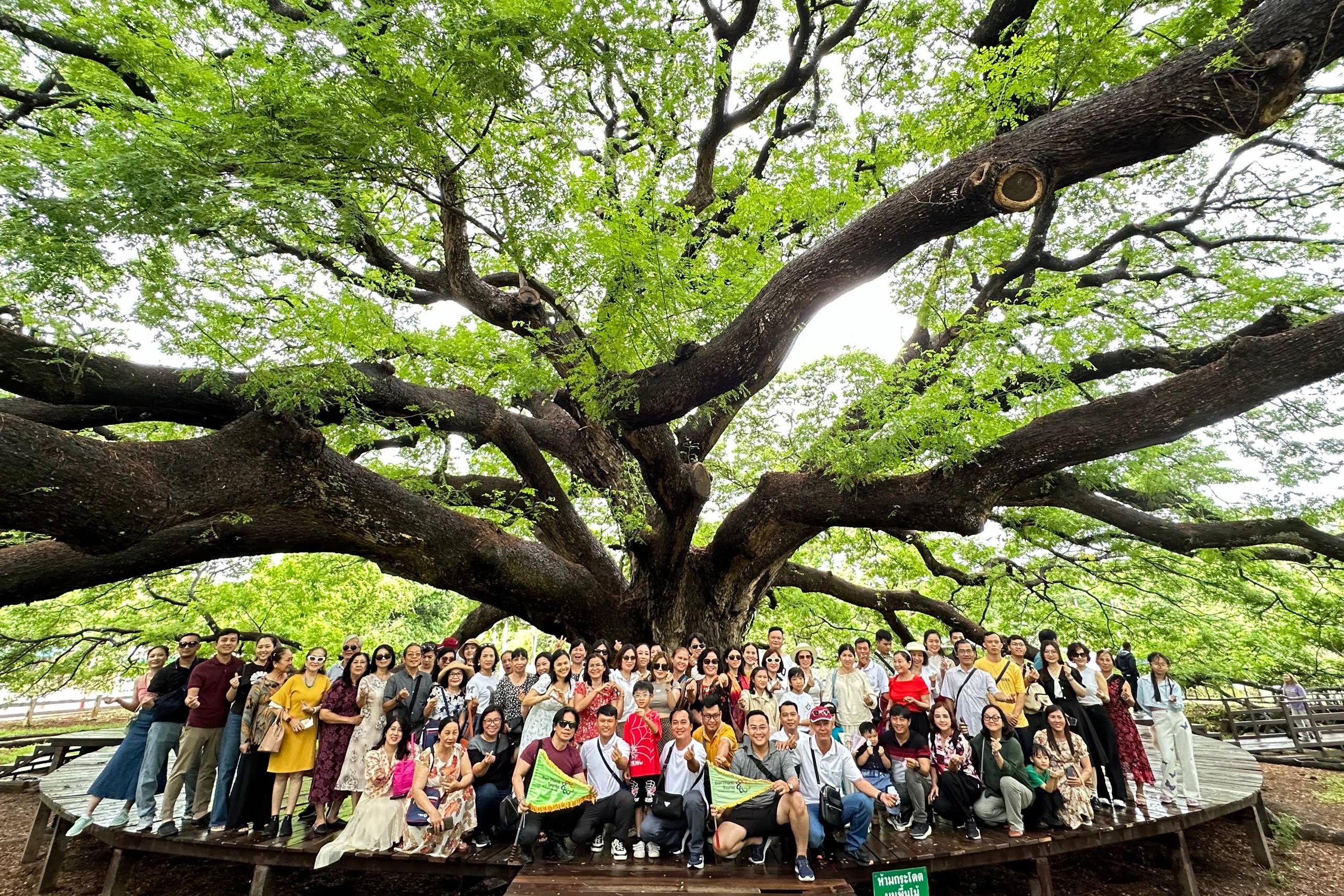 BenThanh Tourist  ảnh 1