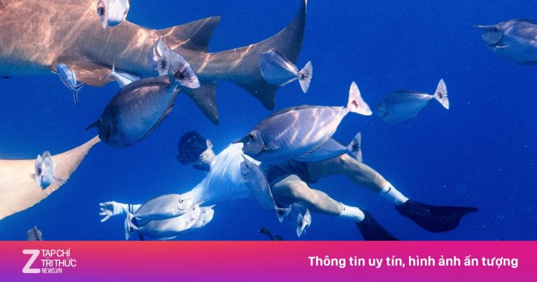 Không biết bơi có thể lặn biển không?