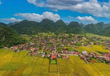 Ngôi làng miền Bắc nào có hơn 400 ngôi nhà quay 1 hướng?