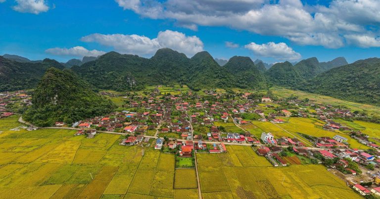 Ngôi làng miền Bắc nào có hơn 400 ngôi nhà quay 1 hướng?