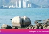 Khách vô tư bẻ san hô ở Hòn Chồng (Nha Trang)