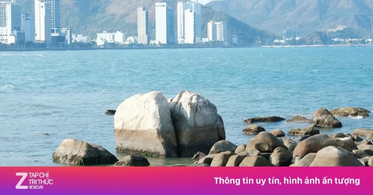 Khách vô tư bẻ san hô ở Hòn Chồng (Nha Trang)
