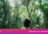 Từ vụ nam sinh mất tích ở Tam Đảo: ‘Leo núi không phải trò đùa’