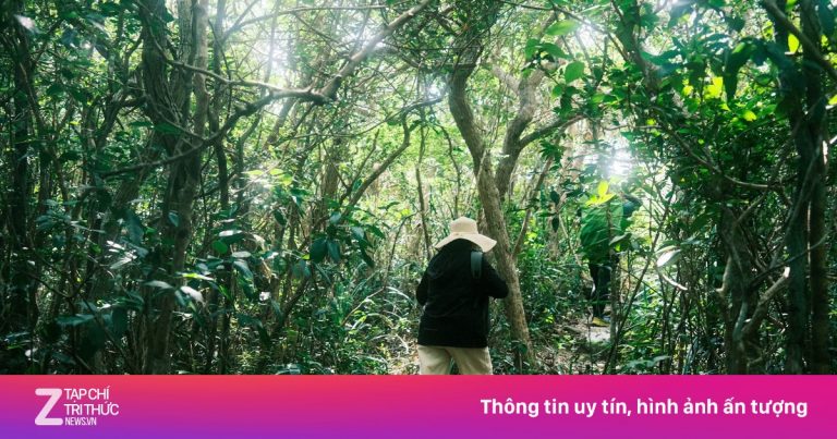 Từ vụ nam sinh mất tích ở Tam Đảo: ‘Leo núi không phải trò đùa’