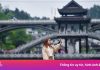 Mọi lời hứa ‘bao đậu visa’ đều là lừa đảo