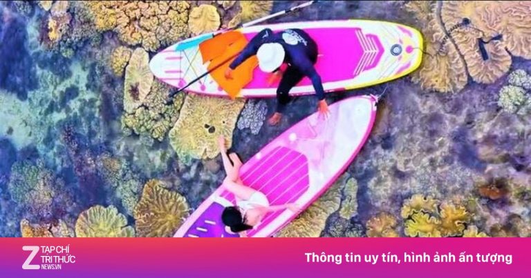 Không đưa khách nằm ‘sống ảo’ trên san hô Hòn Khô