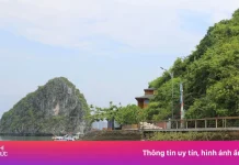 Vì sao bãi biển kín tiếng ‘đẹp nhất thế giới’ ở Việt Nam vẫn đóng cửa?