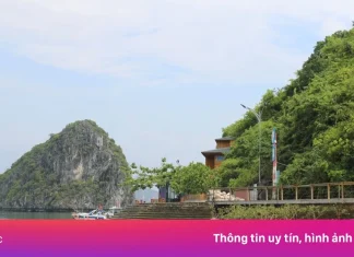 Vì sao bãi biển kín tiếng ‘đẹp nhất thế giới’ ở Việt Nam vẫn đóng cửa?