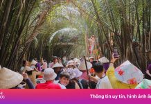 Chờ 2 tiếng mới ngồi được xuồng ba lá ở cồn Thới Sơn