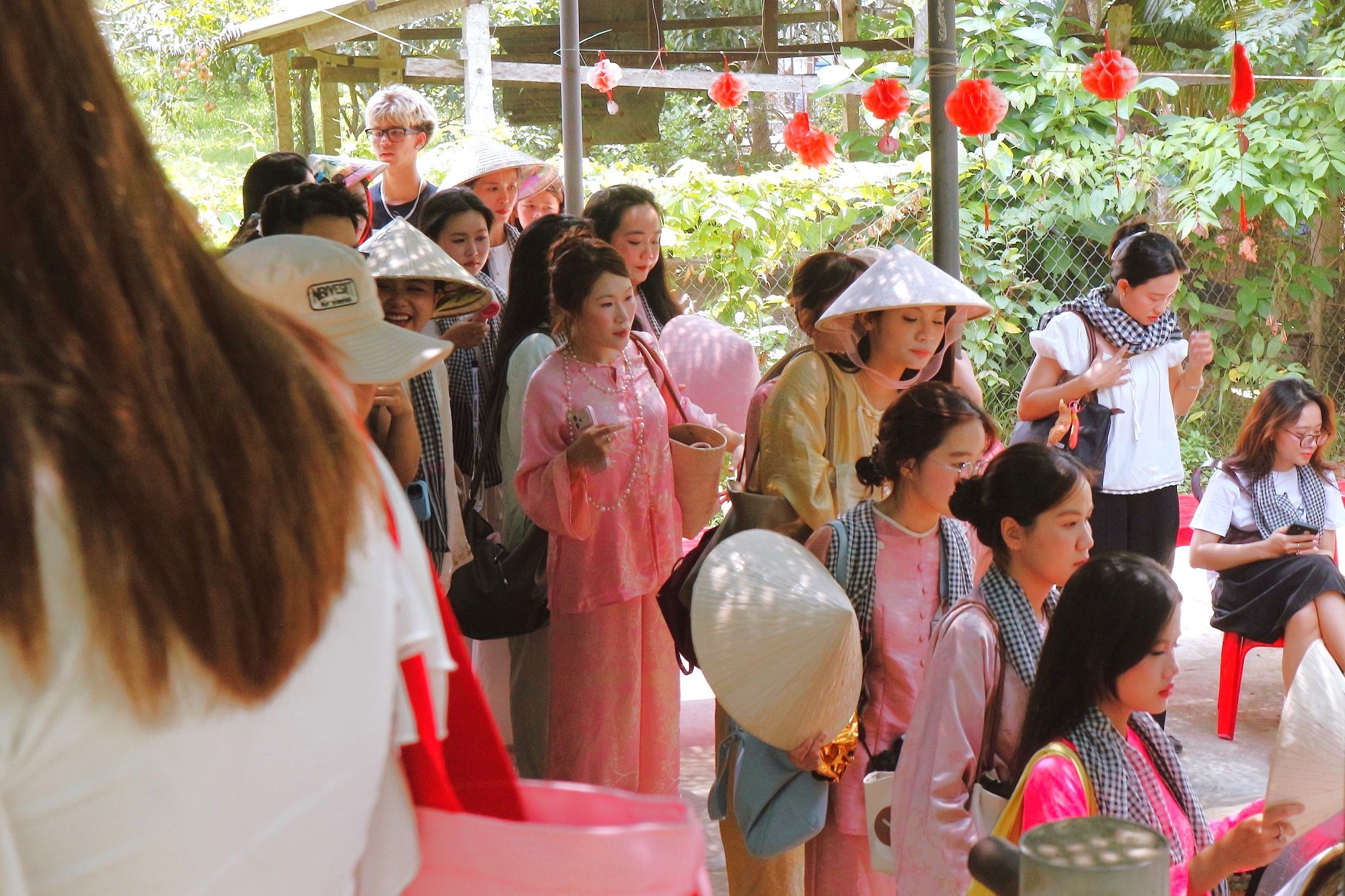 cồn Thới Sơn ảnh 6