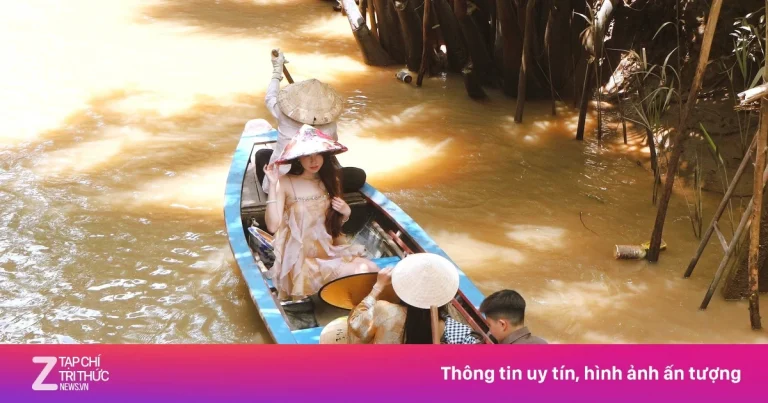 Làm gì để ‘nàng thơ’ vẫn đến cồn Thới Sơn?