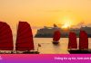 Sắp mở tour ngắm bình minh vịnh Hạ Long trên thuyền buồm 3 vách