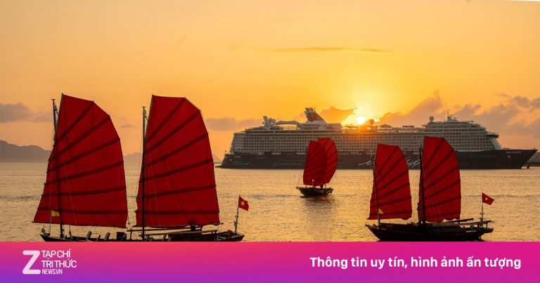 Sắp mở tour ngắm bình minh vịnh Hạ Long trên thuyền buồm 3 vách