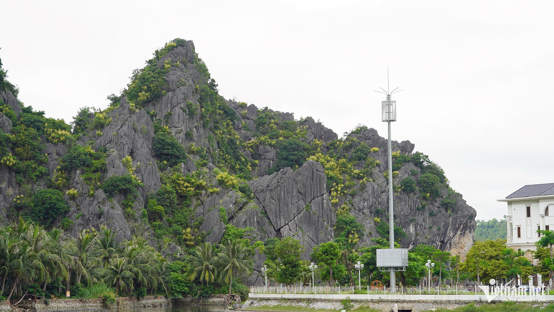 W-Ảnh 12.JPG.jpg