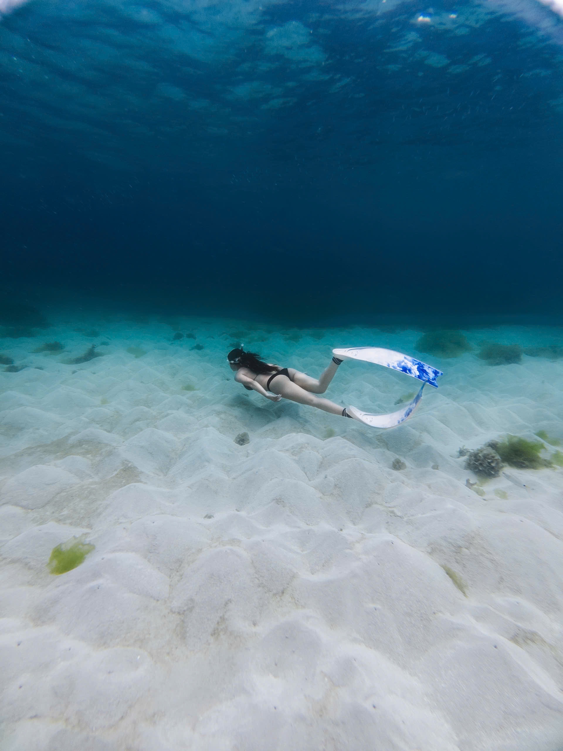 Không cần đi Maldives, khách đổ dồn về Phú Quý lặn biển vì đẹp siêu thực - 7